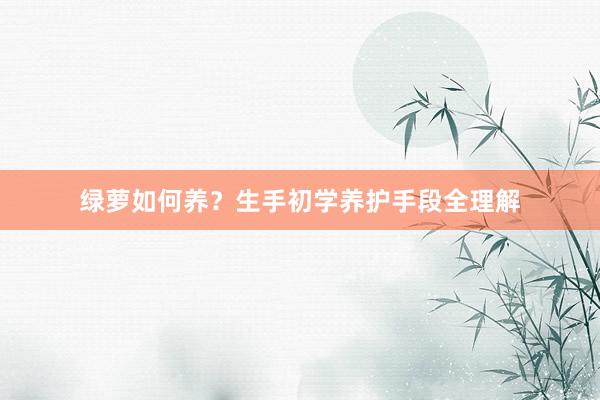 绿萝如何养？生手初学养护手段全理解