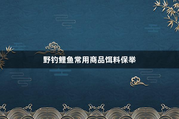 野钓鲤鱼常用商品饵料保举